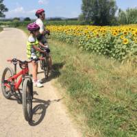 Man and child looking at sunflowers on a self guided cycle trip in Catalonia | Kate Baker