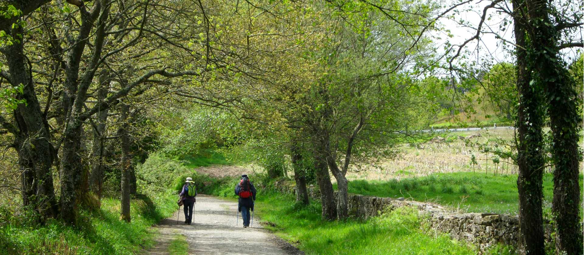 Pilgrims on the trail to Santiago in the Galicia region | Erin Williams