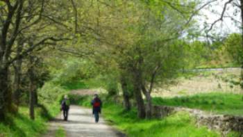 Pilgrims on the trail to Santiago in the Galicia region