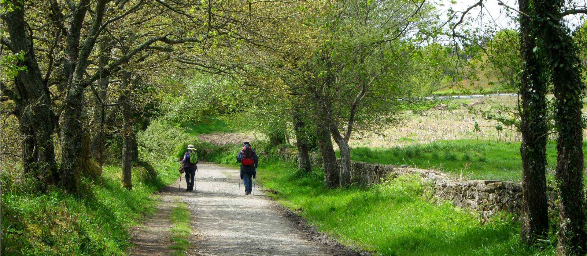 Pilgrims on the trail to Santiago in the Galicia region | Erin Williams