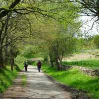 Pilgrims on the trail to Santiago in the Galicia region | Erin Williams