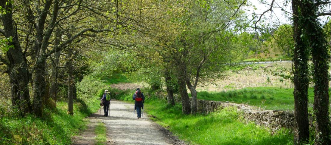 Pilgrims on the trail to Santiago in the Galicia region |  <i>Erin Williams</i>