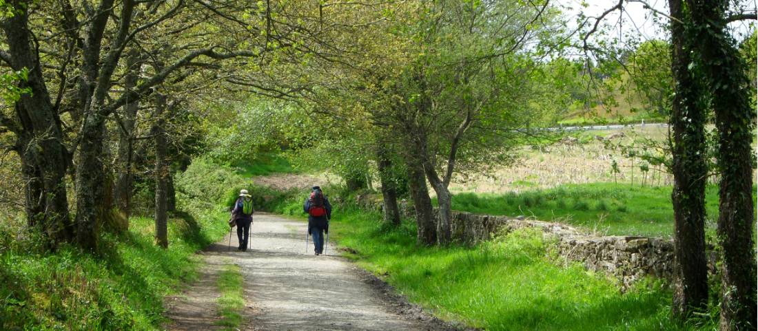 Pilgrims on the trail to Santiago in the Galicia region |  <i>Erin Williams</i>