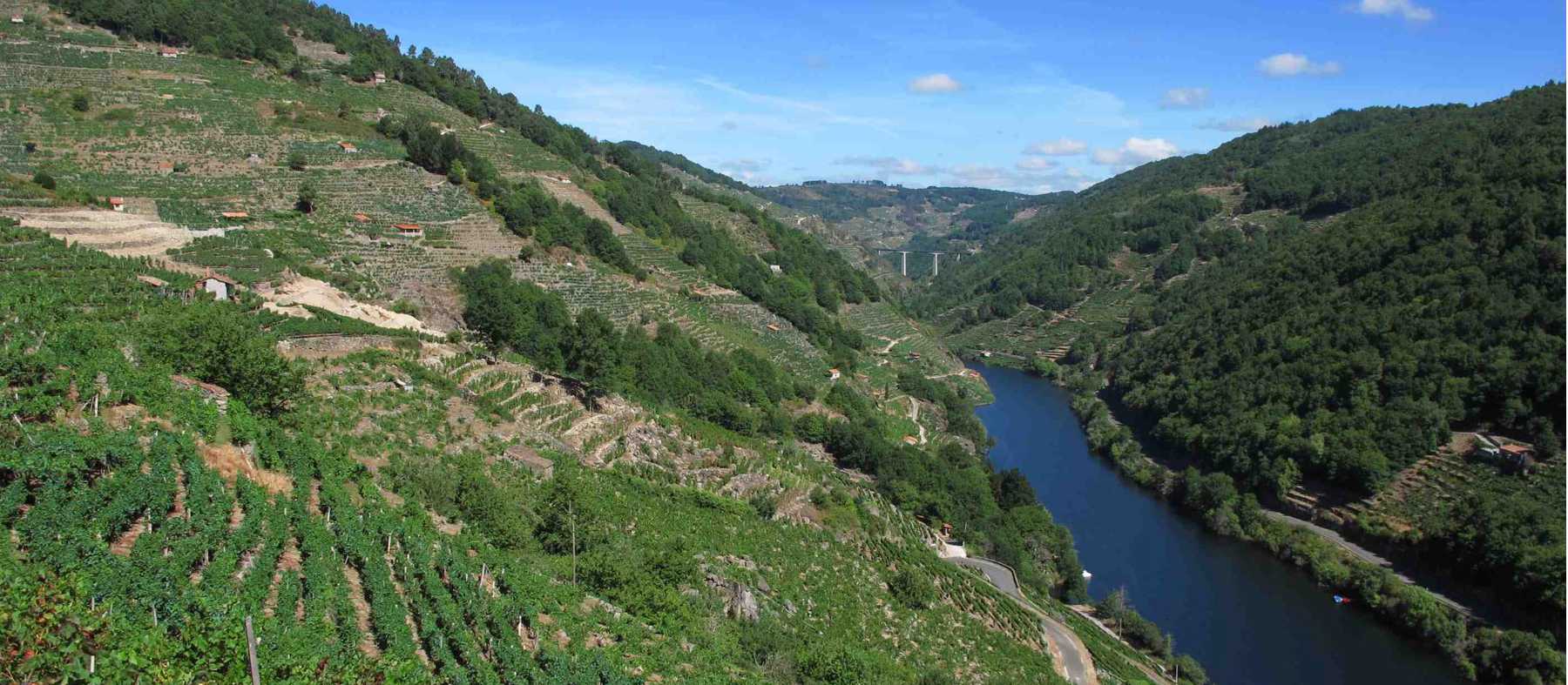 Ribeira Sacra Vineyards above the Sil River | Andreas Holland