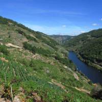 Ribeira Sacra Vineyards above the Sil River | Andreas Holland