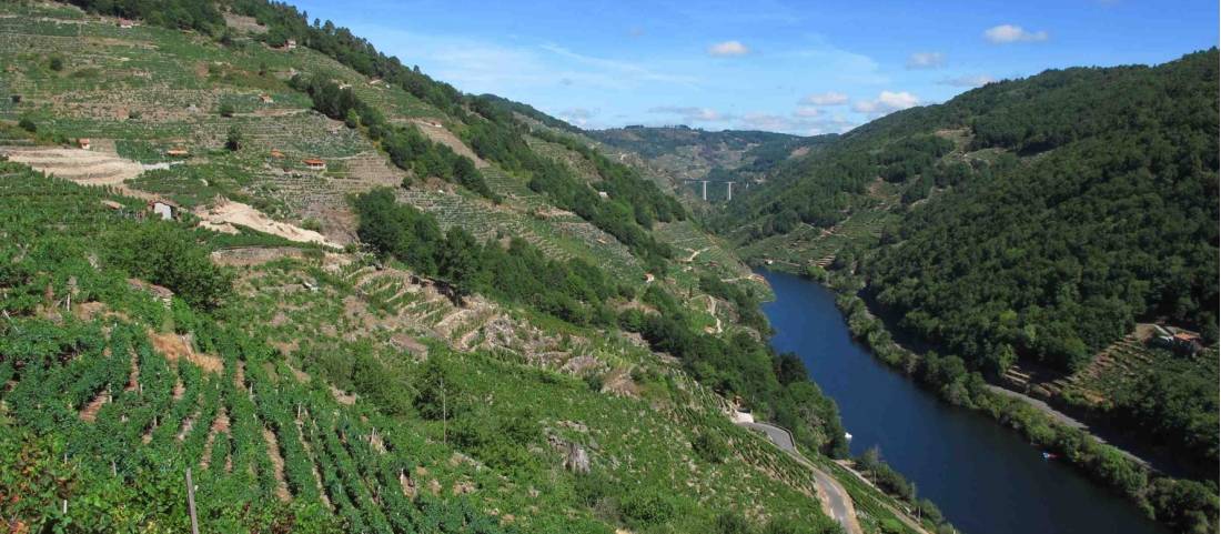 Ribeira Sacra Vineyards above the Sil River |  <i>Andreas Holland</i>