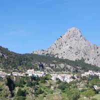 Walk through the delightful landscapes of the Sierra de Grazalema