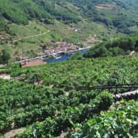 Steep vineyard terraces of the Ribeira Sacra | Andreas Holland