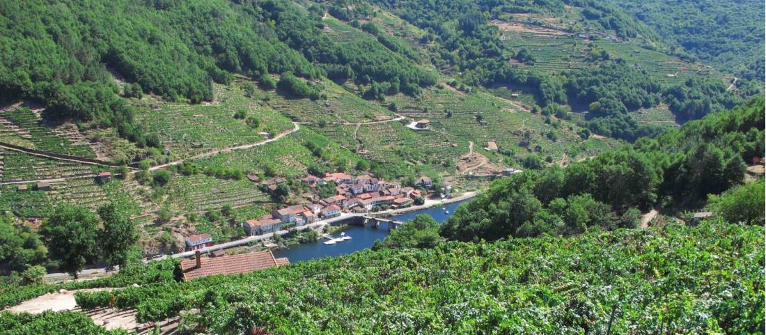 Steep vineyard terraces of the Ribeira Sacra |  <i>Andreas Holland</i>