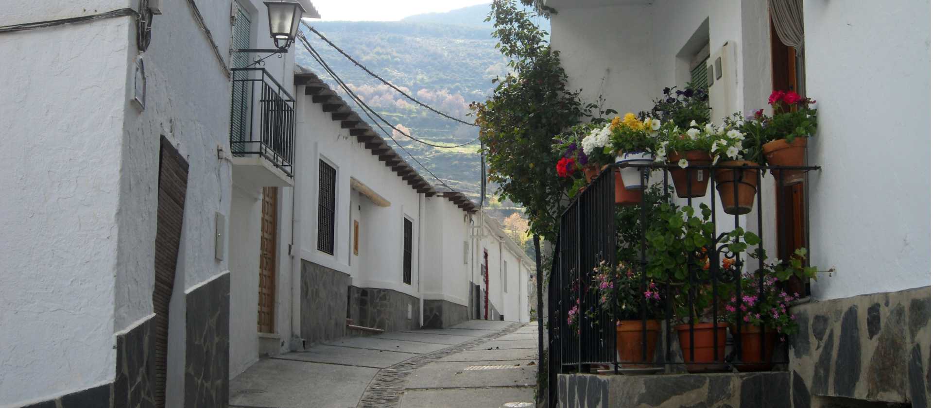 Pass through white-washed villages in the Alpujarras | Erin Williams