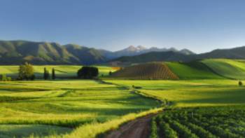 Vineyard in Rioja,Tourist Office of Spain Vineyard in Rioja, a region known for its gastronomic riches