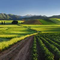 Vineyard in Rioja, a region known for its gastronomic riches