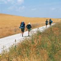 Pilgrims walking along the Camino in the Rioja region