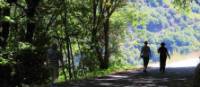 Walking in the Ribeira Sacra wine growing region of Galicia | Andreas Holland