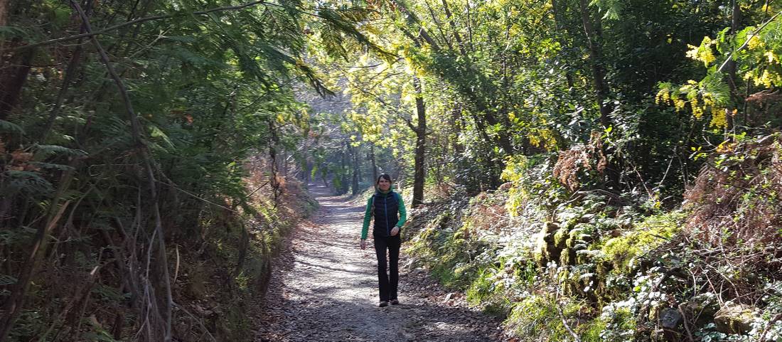 Walking the quiet trails enroute to Santiago on the Camino Sanabres