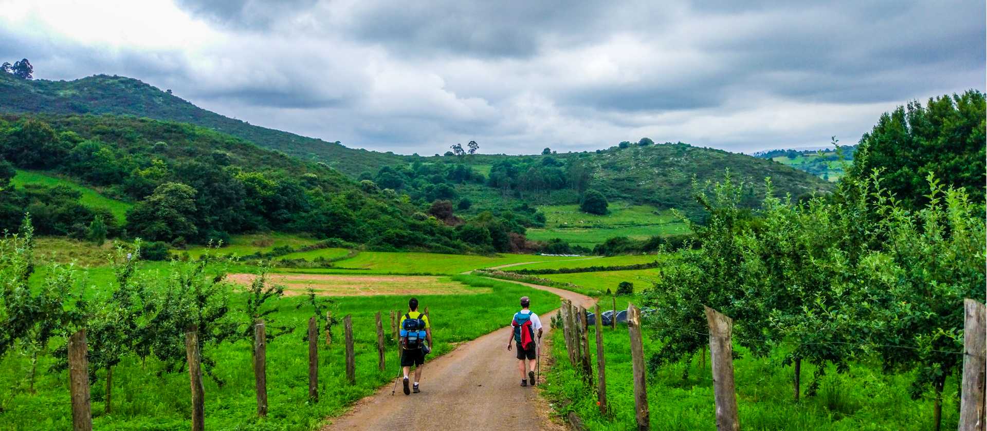 Walking the vibrant green countryside of the Camino Primitivo