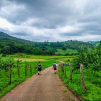 Walking the vibrant green countryside of the Camino Primitivo