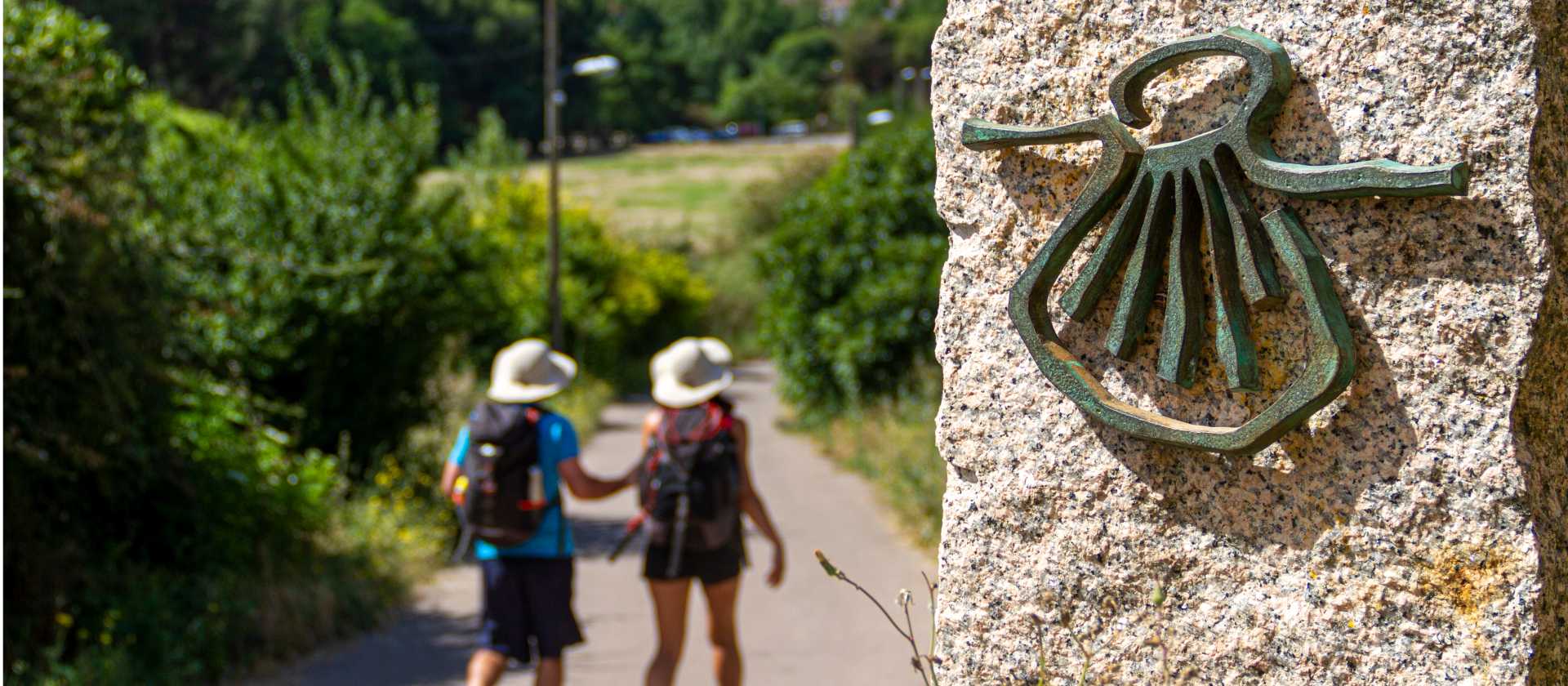 Walking the Camino de Santiago