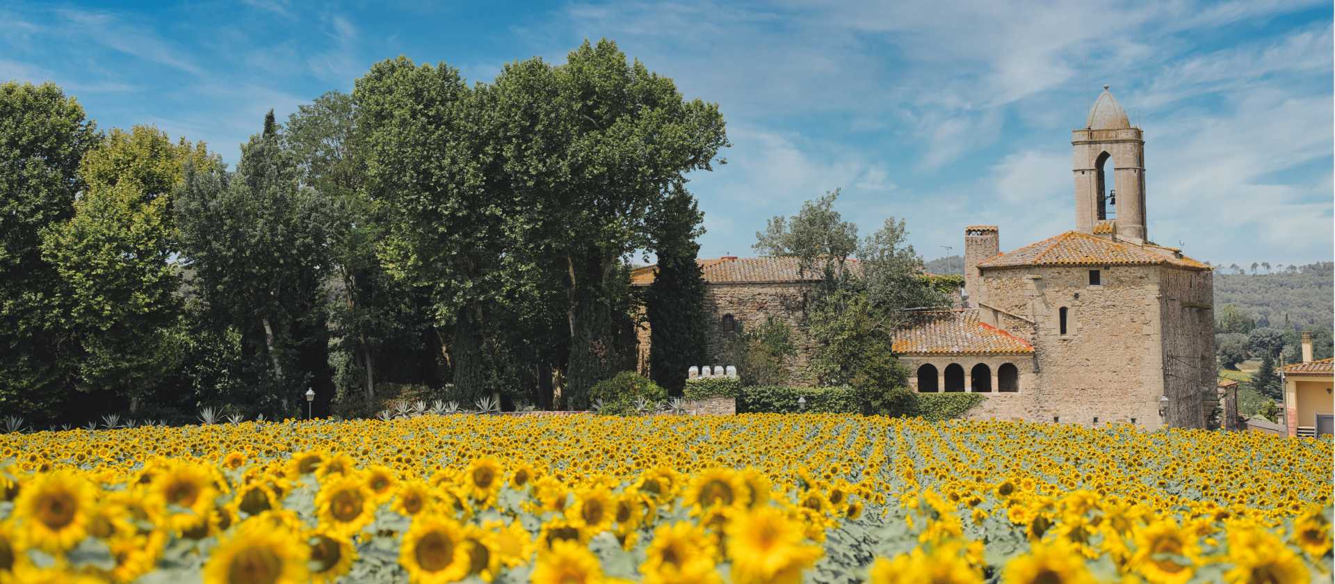 Sunflowers and castles in Pubol, Catalonia
