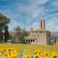 Sunflowers and castles in Pubol, Catalonia
