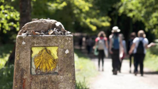 Walking the Camino de Santiago