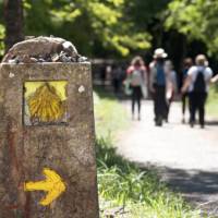 Walking the Camino de Santiago