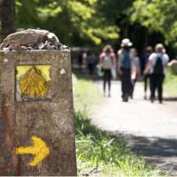 Walking the Camino de Santiago