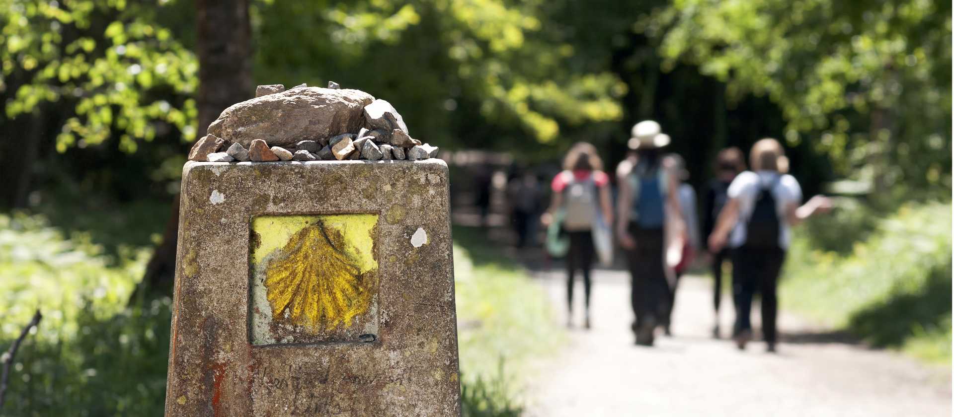 Walking the Camino de Santiago