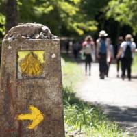Walking the Camino de Santiago