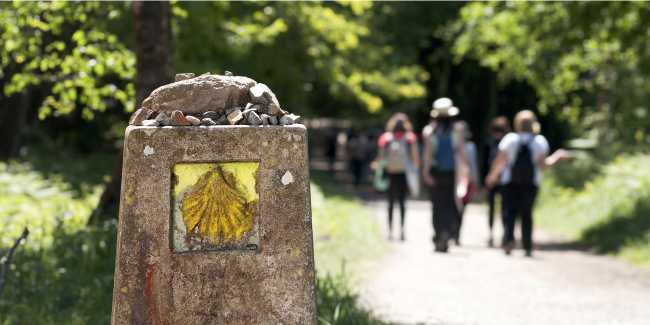 Walking the Camino de Santiago