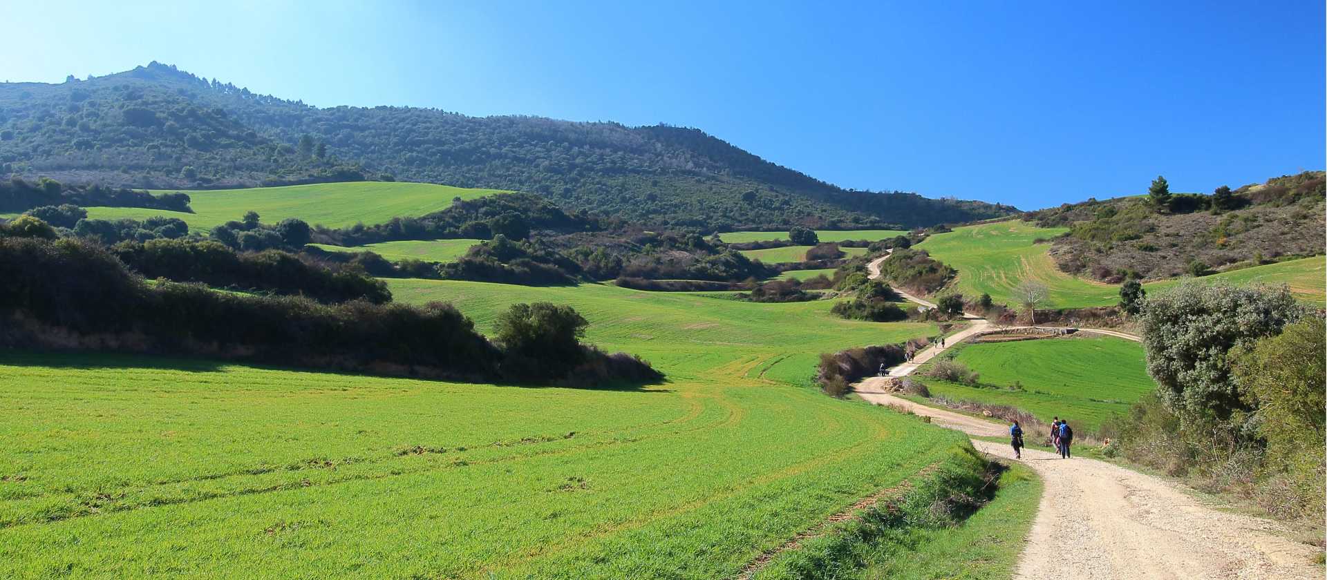 Walking the green Camino trails through Spain