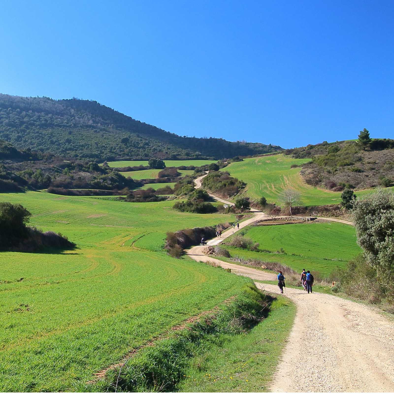Walking the green Camino trails through Spain