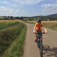 teenage boy cycling past sunflowers on a self guided cycle trip in Catalonia | Kate Baker