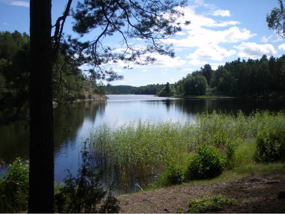 Lake Klammingen, Sweden |  <i>Pat Black</i>