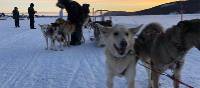 Dogsledding is one of the highlights of an Arctic adventure | Kate Baker