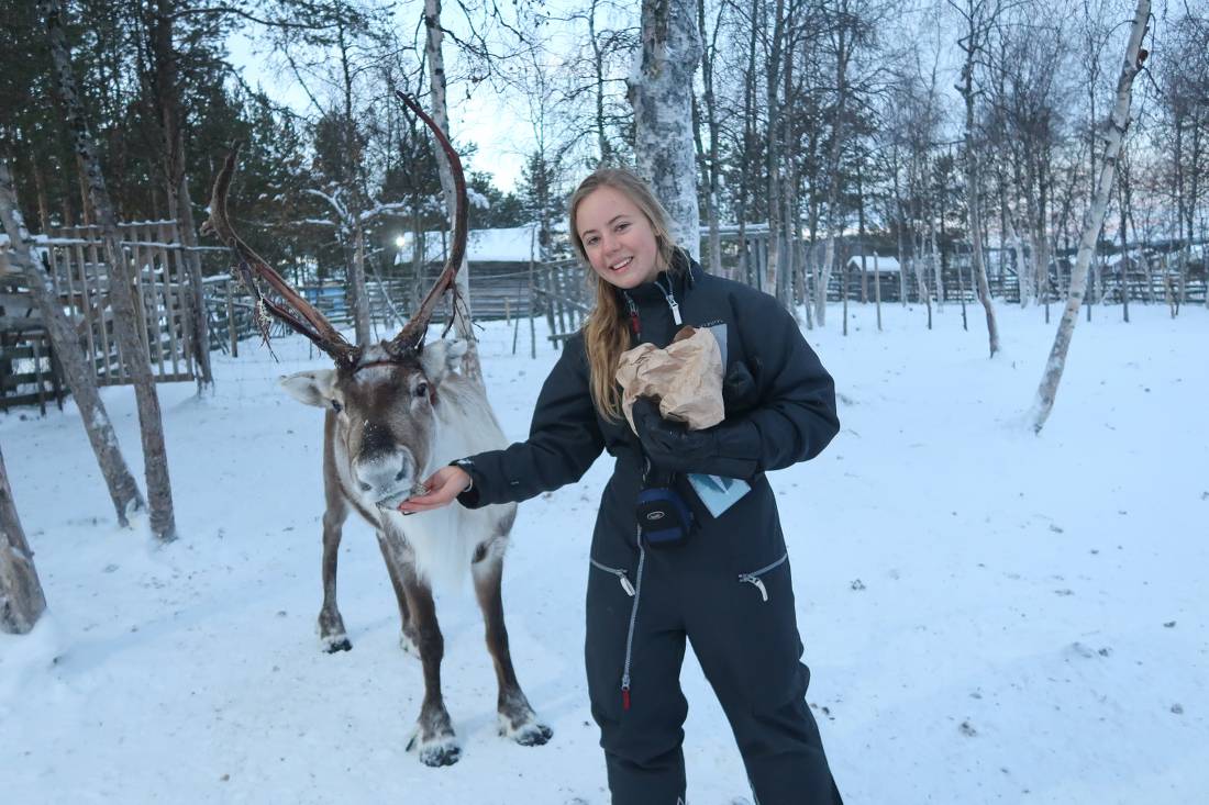 Feeding Reindeers near Kiruna, Lapland |  <i>Kate Baker</i>