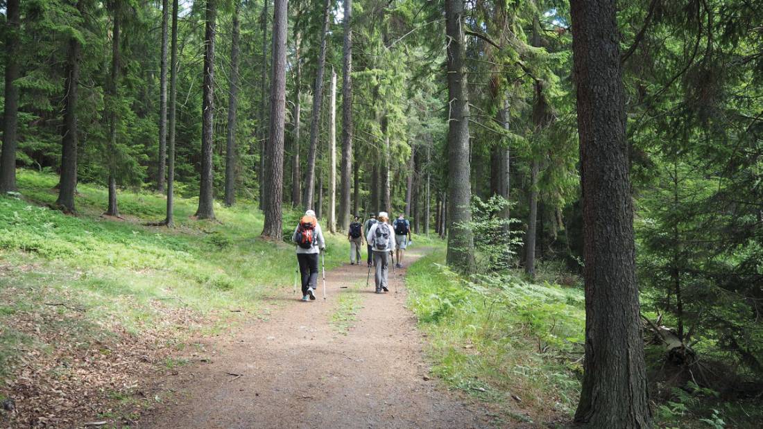 Hiking through Häringe-Hammersta nature reserve |  <i>Kathy Kostos</i>