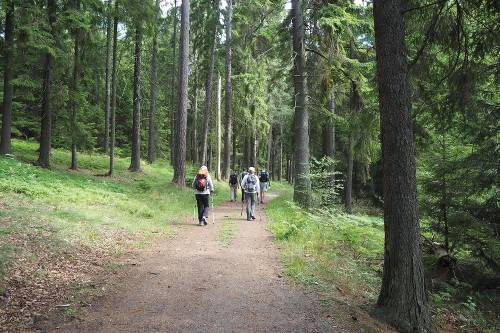 Hiking through Häringe-Hammersta nature reserve&#160;-&#160;<i>Photo:&#160;Kathy Kostos</i>
