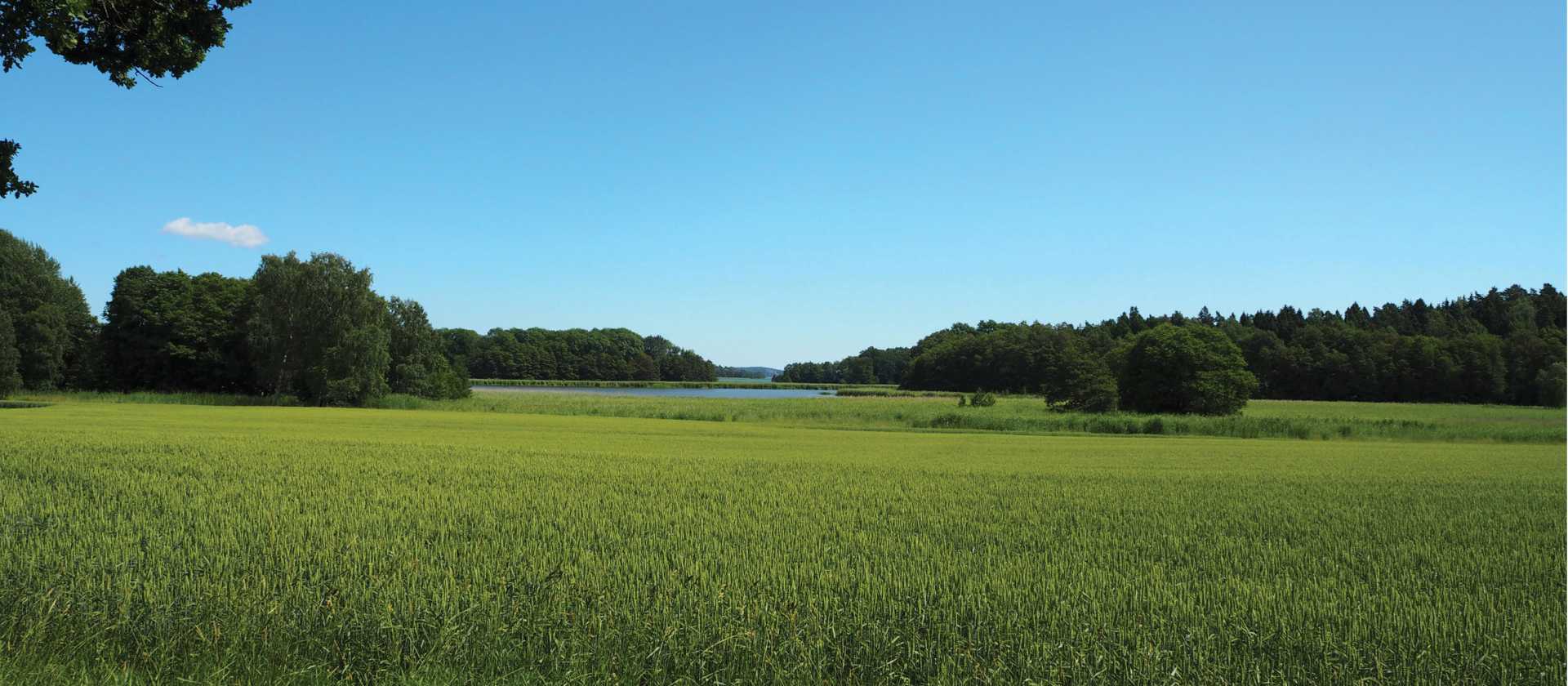 Verdant landscape across Häringe-Hammersta nature reserve | Kathy Kostos