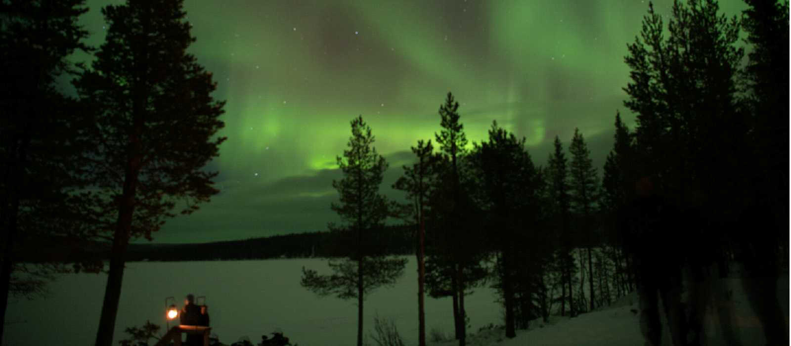 Sky lit up with the northern lights in Swedish Lapland | Ross Baker
