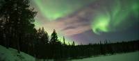 Swirling northern lights in Swedish Lapland | Ross Baker