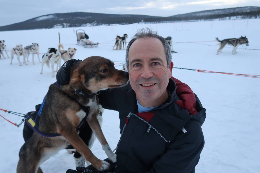 get affectionate with the dogs on a dogsled adventure in Lapland |  <i>Kate Baker</i>