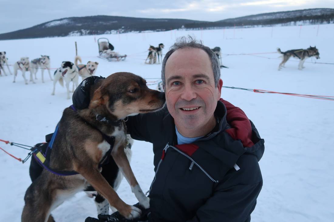 get affectionate with the dogs on a dogsled adventure in Lapland | <i>Kate Baker</i>