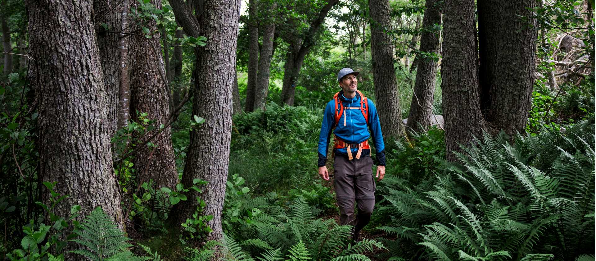 Hiking the Stockholm Archipelago trail | Roger Borgelid