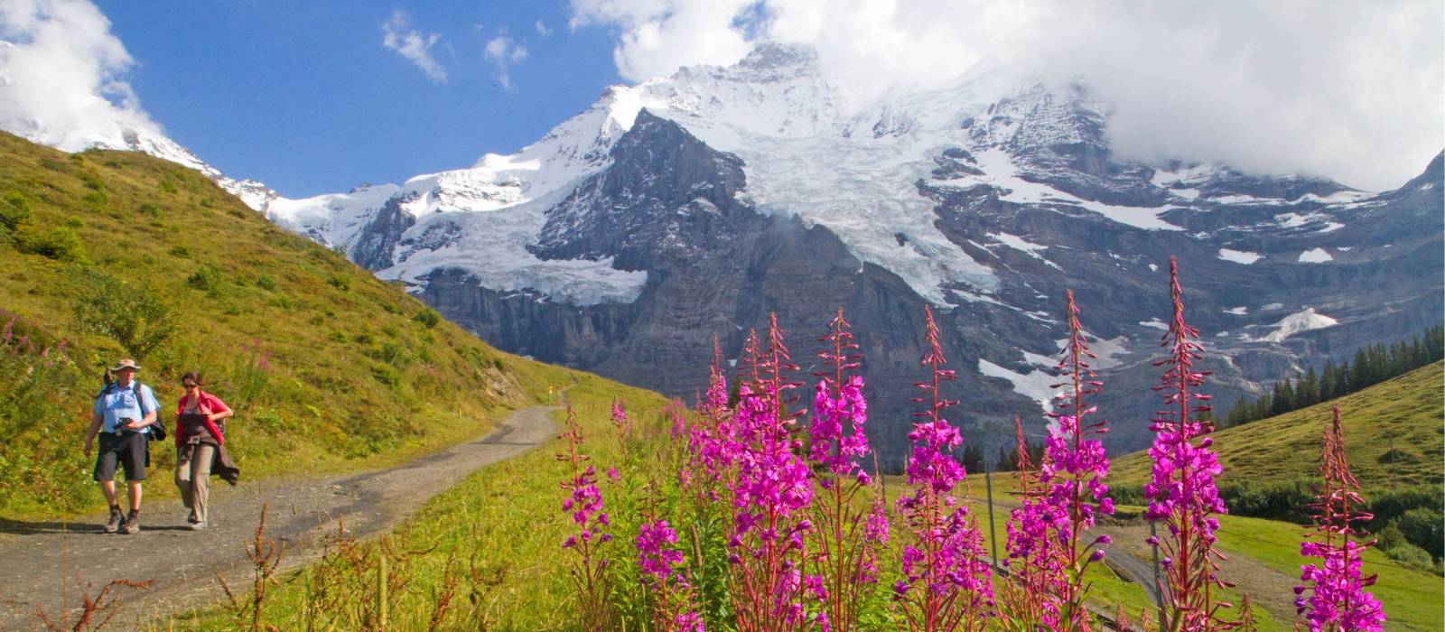 Hiking along the Alpine Pass Route | Andrew Bain