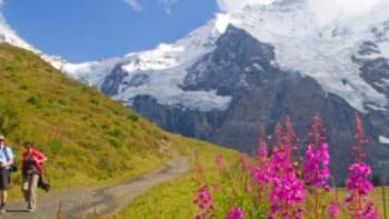 Hiking along the Alpine Pass Route