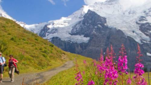 Hiking along the Alpine Pass Route | Andrew Bain