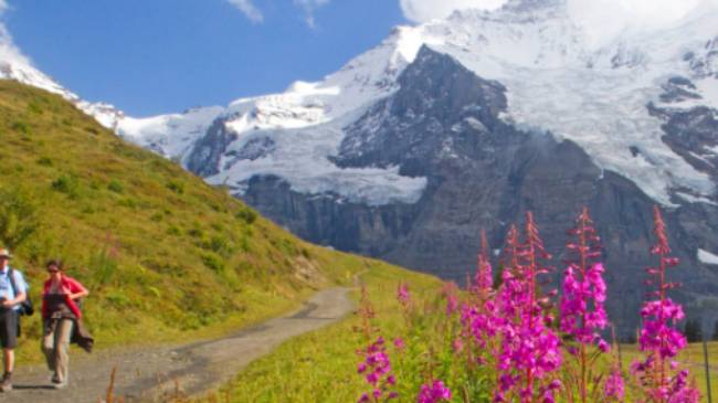 Hiking along the Alpine Pass Route | Andrew Bain