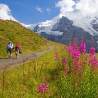 Hiking along the Alpine Pass Route | Andrew Bain