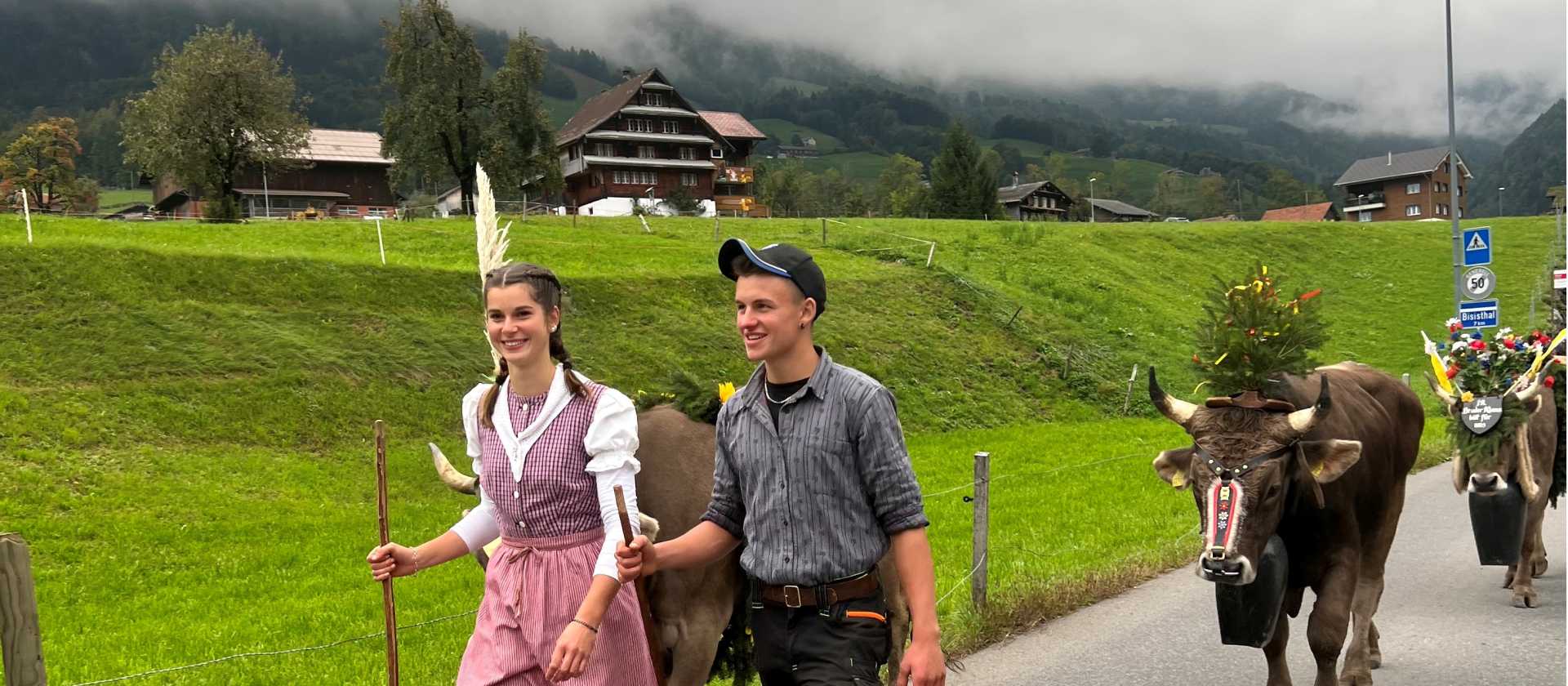 Désalpe annual cow festival Switzerland